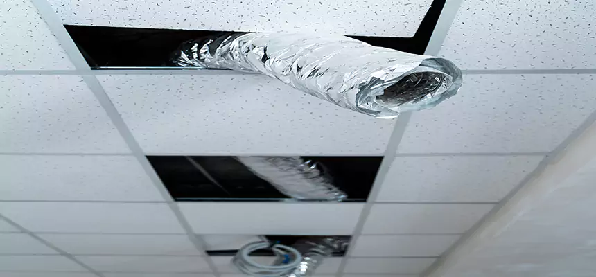 Our Air Duct Pet Hair Removal Services in Orange, CA