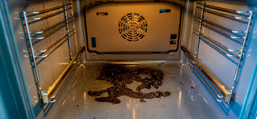 Our Dryer Vent Mold Cleaning Services in Orange, CA