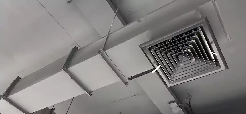 Our Rodent Droppings In Vents Services in Orange, CA