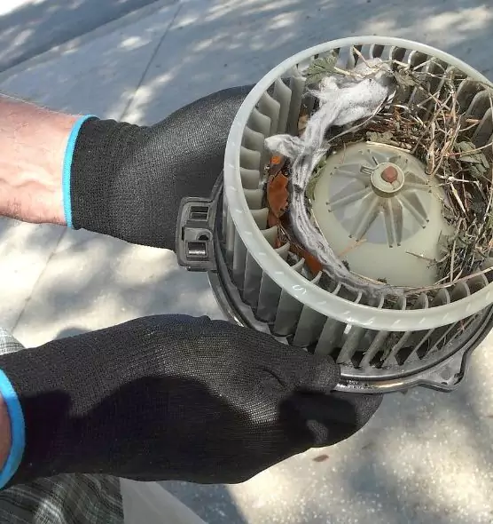 About Air Duct Rat Removal in Orange, CA