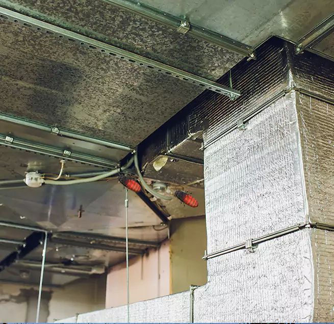 Why Homeowners & Businesses Trust Us in Orange, CA?