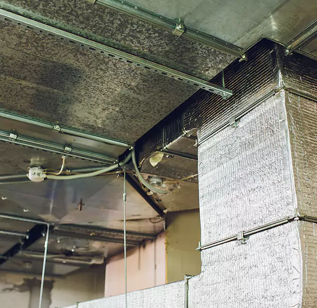 Why Homeowners & Businesses Trust Us in Orange, CA?